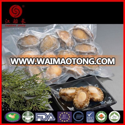 FROZEN ABALONE MEAT WITHOUT SHELL