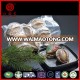 FROZEN ABALONE IN SHELL 50-60g/PCS FOR SALE